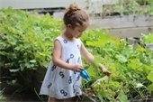 Little girl with watering can in a garden
