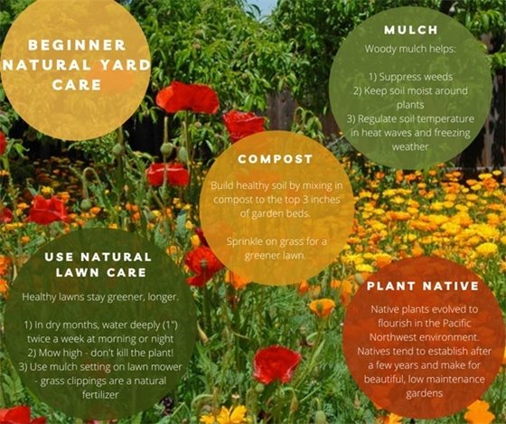 Natural Yard Care Tips