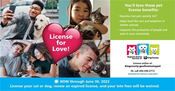 Regional Animal Services of King County flyer for License for Love campaign