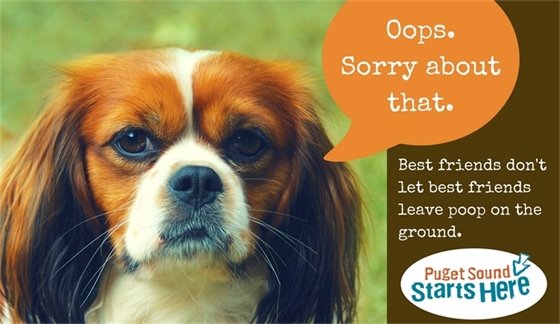 Photo of dog with caption: oops, sorry about that.