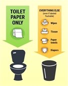 Only flush toilet paper