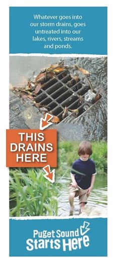 This drains here - water draining into storm drain