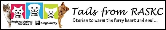 Tails from RASCK - Stories to warm the furry heart and soul...