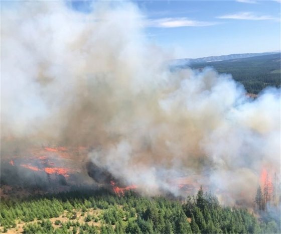 Aerial photo of a wildfire