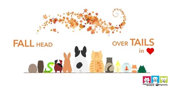 Fall Head Over Tails in Love (miscellaneous pets)