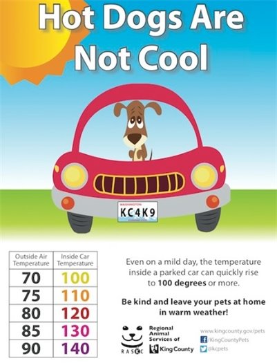 Hot dogs are not cool - do not leave dogs in cars